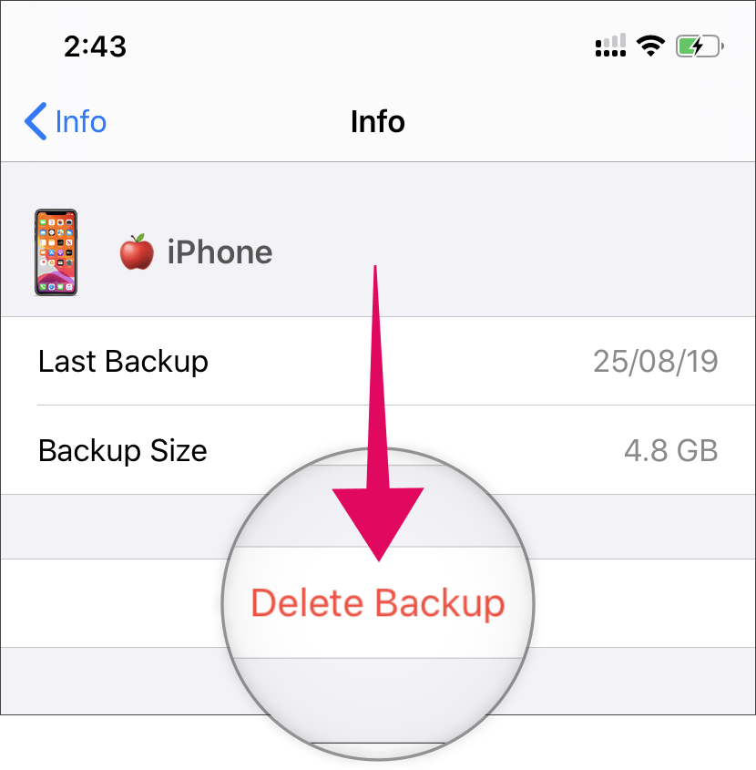 Tap "Delete Backup" to delete the selected iCloud Backup