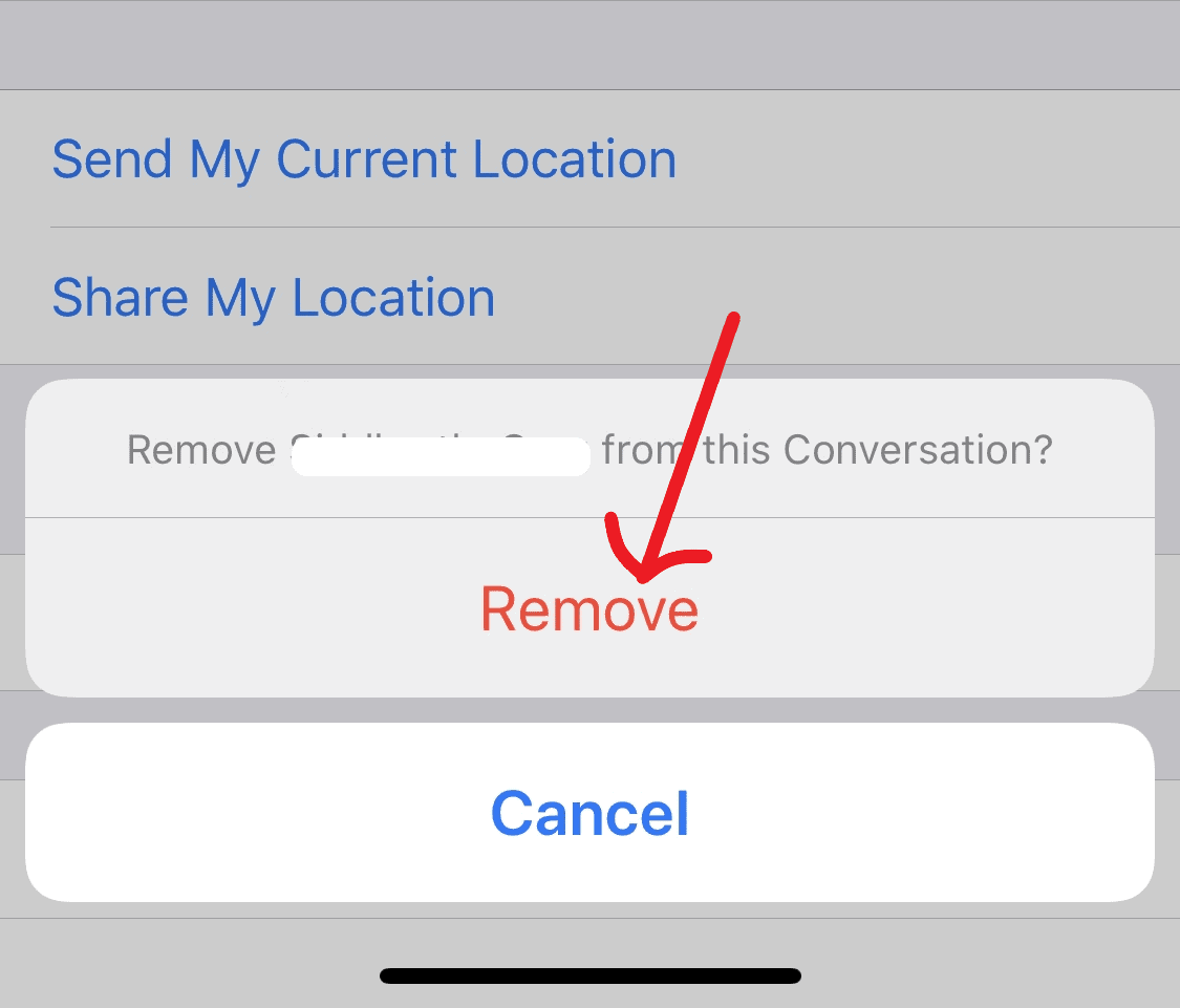 remove contact from group chat iphone