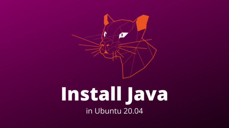 Install Java Ubuntu 20.04
