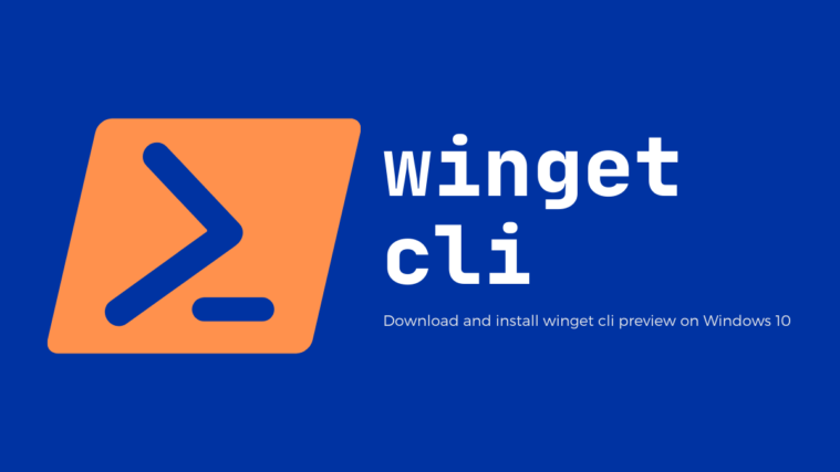 Windows 10 Winget CLI