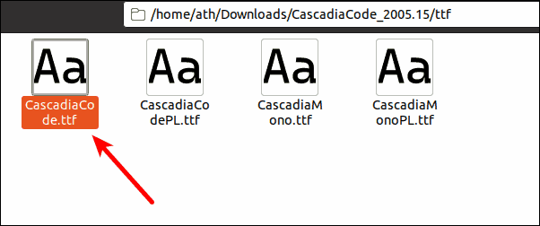 Choose Cascadia Code Standard Version