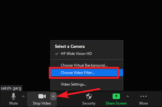 video filter zoom download