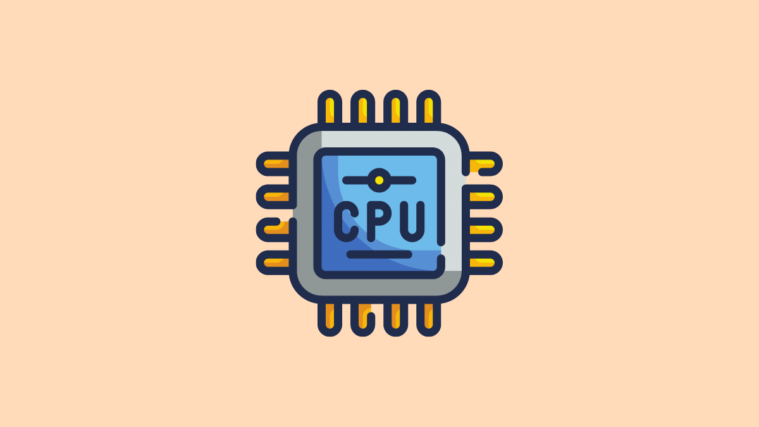 Zoom CPU Usage