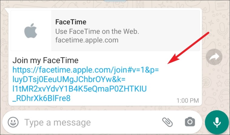 click on the facetime link on android