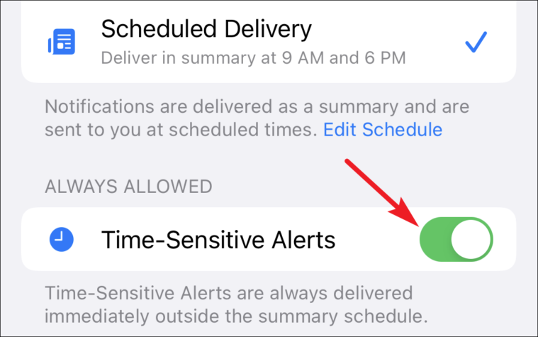 enable time-sensitive notification for an app