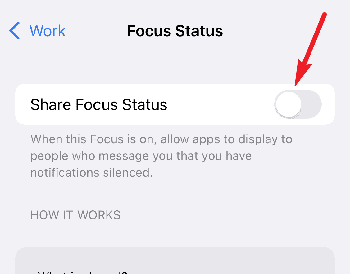 What is Focus Status in iMessage on iPhone? All Things How